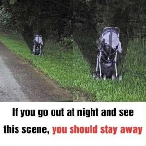 After finding a stroller abandoned on the side of the road