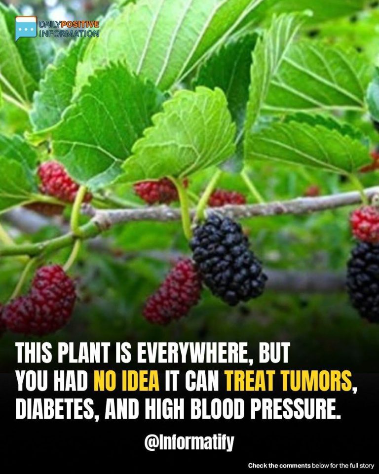 Common Backyard Plant May Help Fight Tumor