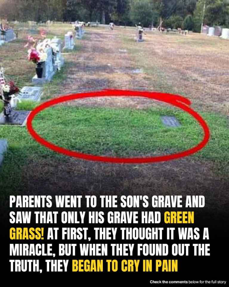 Stranger Keeps Secretly Visiting Soldier’s Grave, When Mom