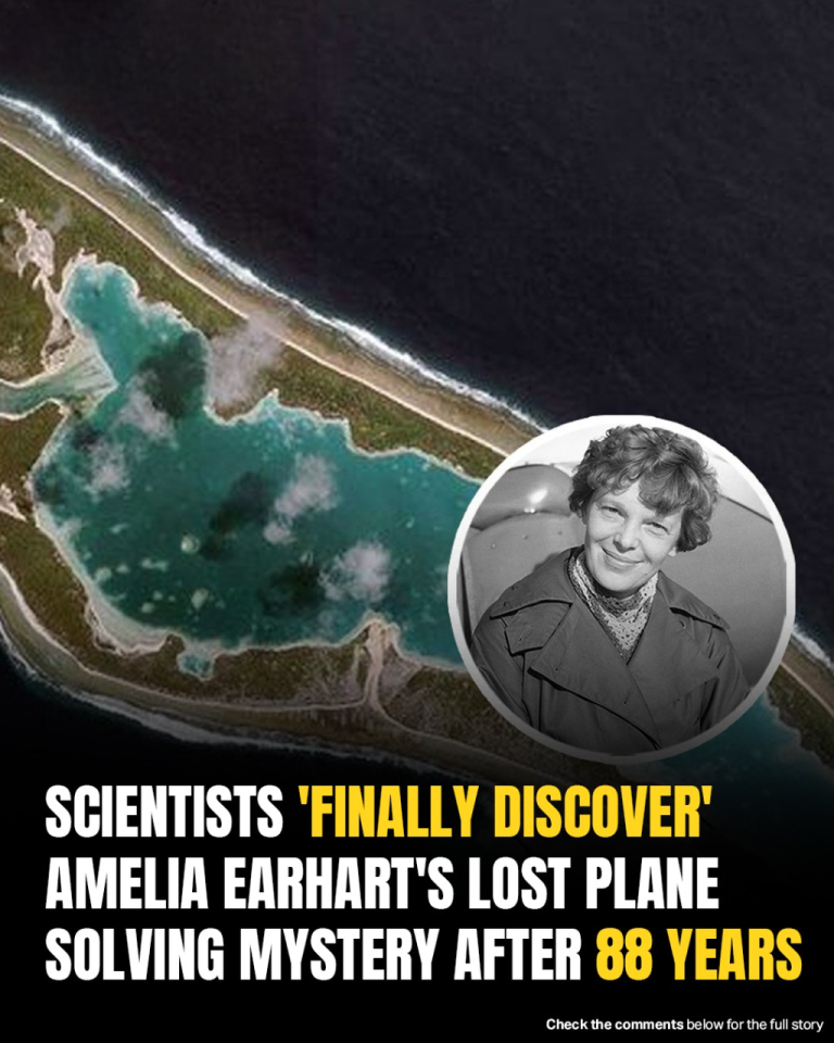 Scientists Claim Breakthrough In Amelia Earhart Mystery After 88 Year