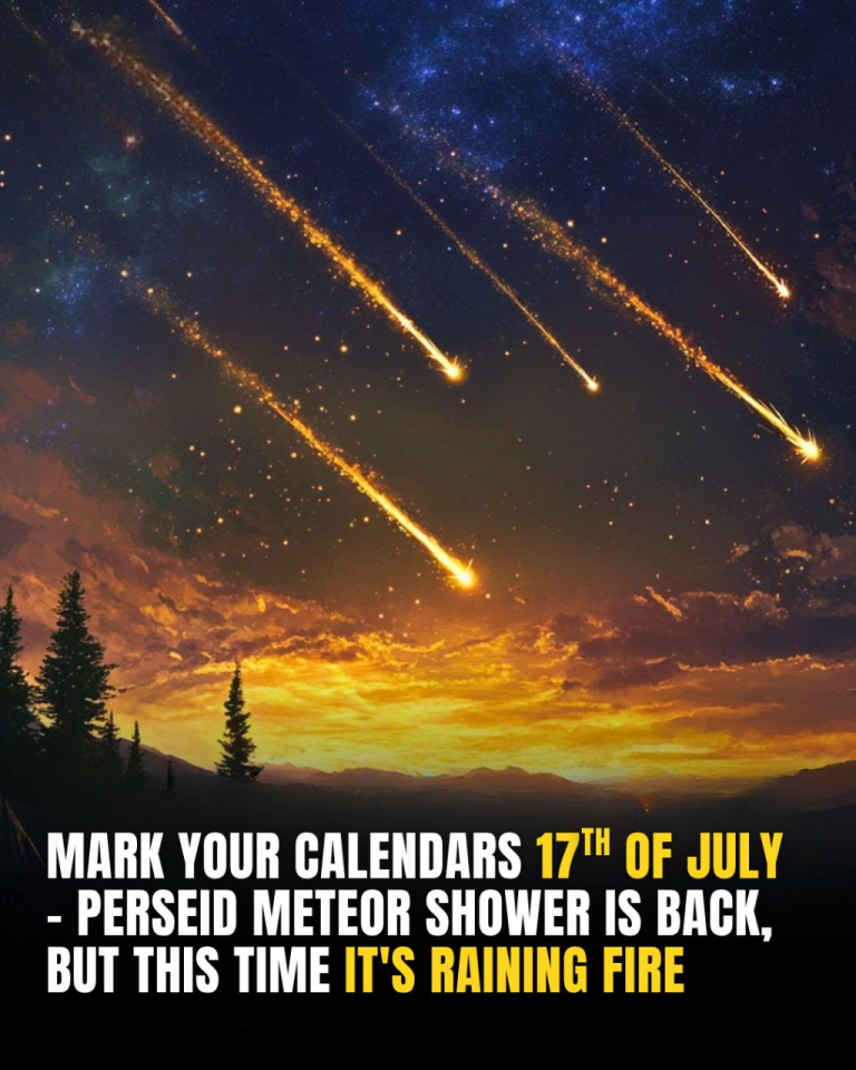The Perseids Are Coming — Catch Them