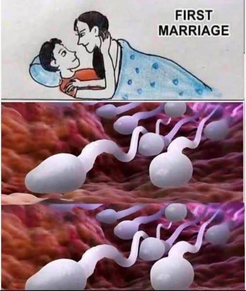 Studies reveal that swallowing your