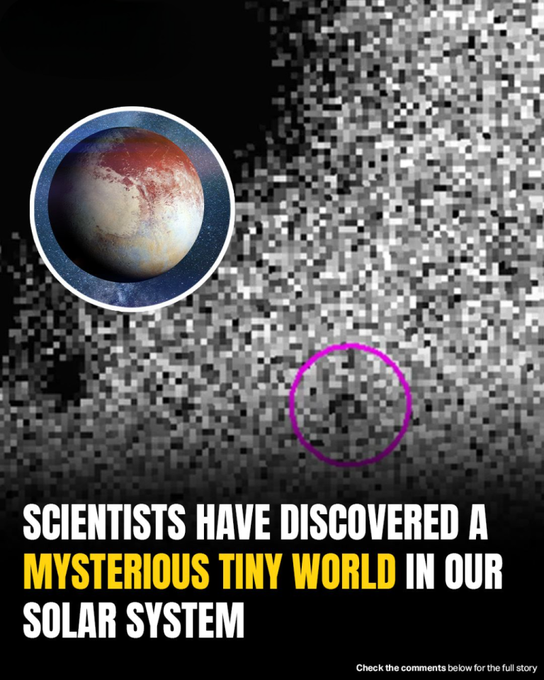 Solar System Surprise: Newly Found