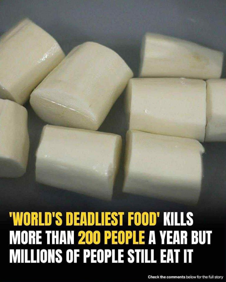 The ‘world’s deadliest food’ claims over 200 lives every year,