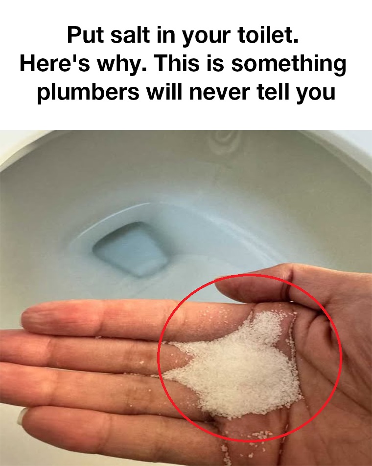Put salt in your toilet. Here’s why. – Wake Up Y