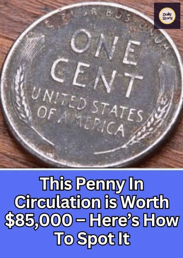 Here’s How To Spot It – This Penny In Circ