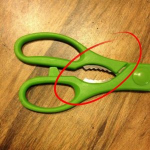 The Hidden Purpose of the Notched Section