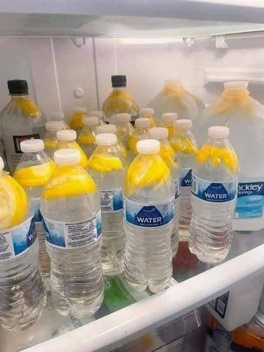 Ginger Water: The Healthiest Drink to Burn Fat an