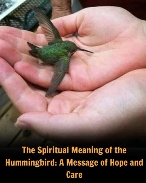 Did You Know That If a Hummingbird Comes t