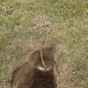 I Discovered a Chain Hidden Beneath My Mailb