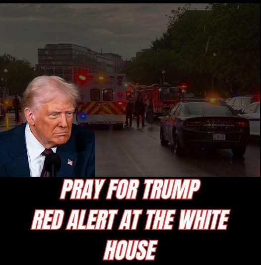 When Emergency Powers Meet Politic