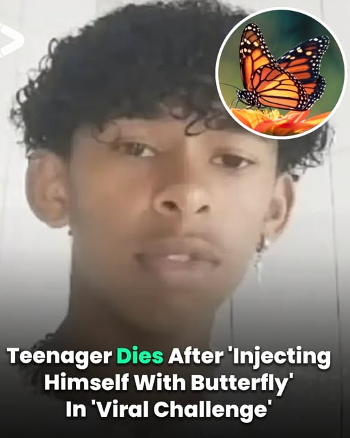 Boy, 14, dies after injecting himself with butterfly