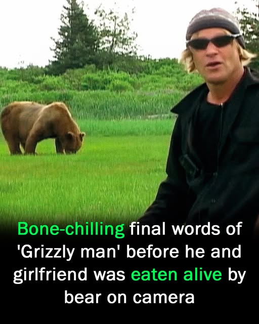 Final words of ‘Grizzly man’ before he