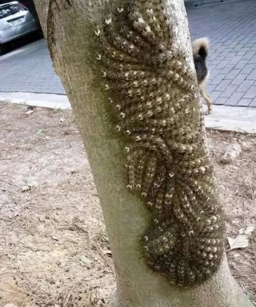 What my daughter nearly touched could have cost her l.ife: