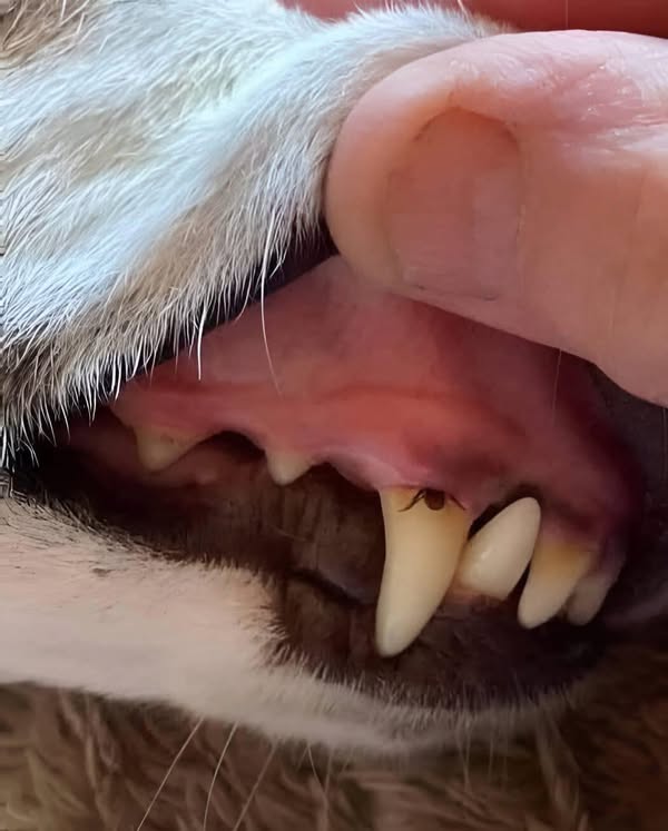 How To Stay Thoroughly Protect