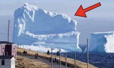 Gigantic Iceberg Floats Near The Local Village
