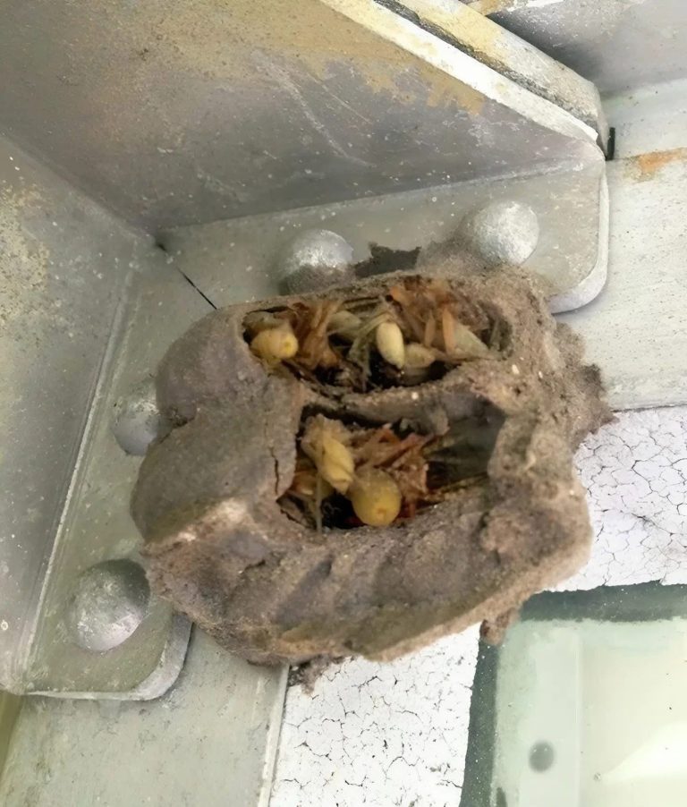 I went into the garage just to grab an ol