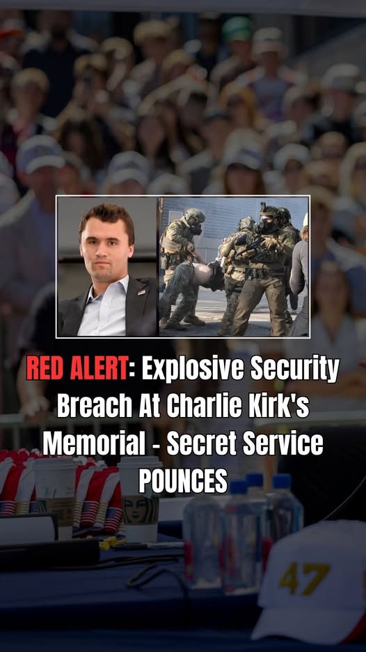 Armed Man With Fake Badge Arre