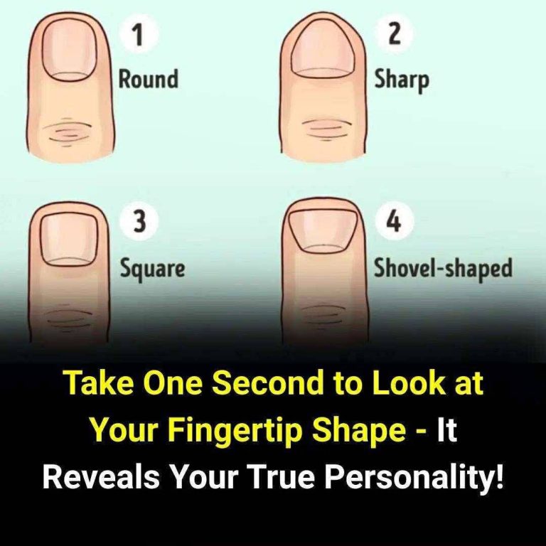 The shape of your fingertips rev