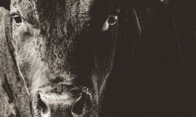 He Recently Spent $6.5k On A Young