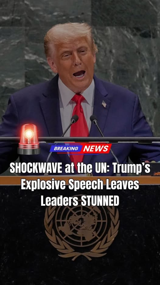 Trump Rips Countries Allowing ‘Open Bor