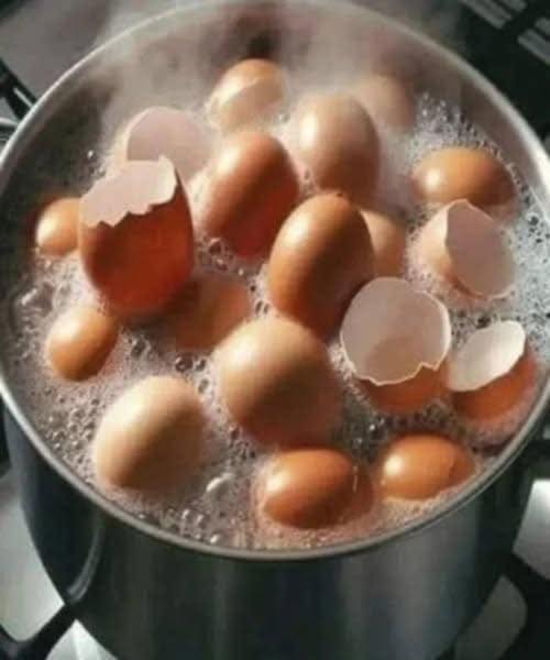 Don’t Toss Those Eggshells: 17 Ways to R
