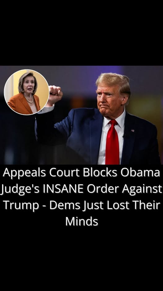 Appeals Court Blocks Obama Jud