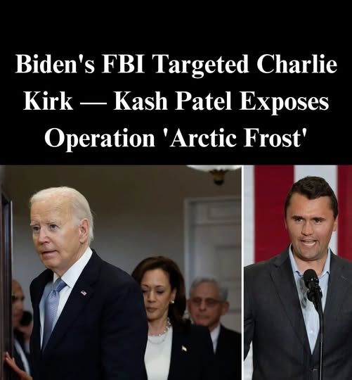‘Arctic Frost’: Biden FBI Investigated Char
