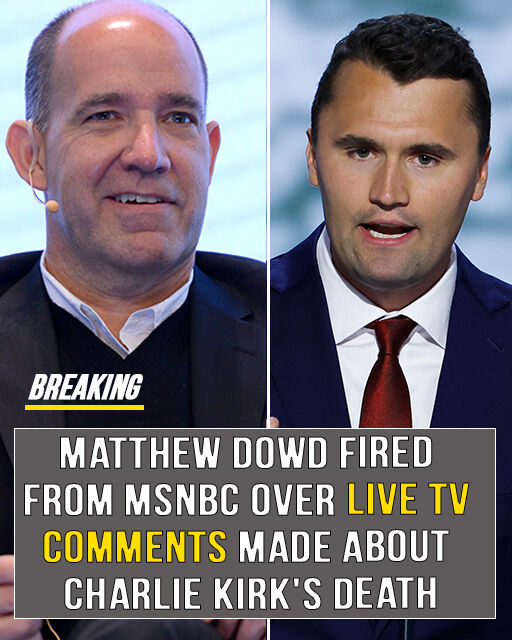 Television Analyst Abruptly Fired After Co