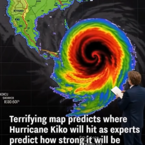Hurricane Kiko Weakens to Category 3 as Hawaii