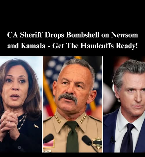CA Sheriff Slams Newsom, Democr