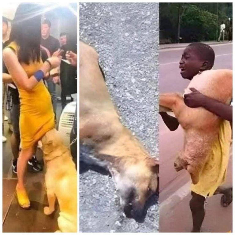 If your dog is sniffing your genital area