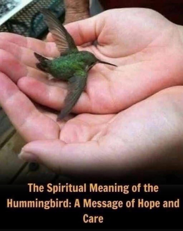 Did You Know a Hummingbird Visiting Your