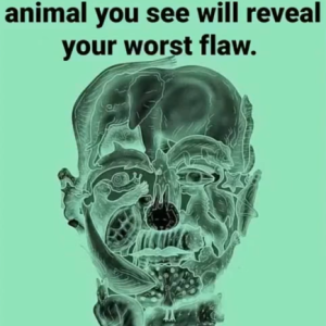 Viral Optical Illusion: The First Animal You