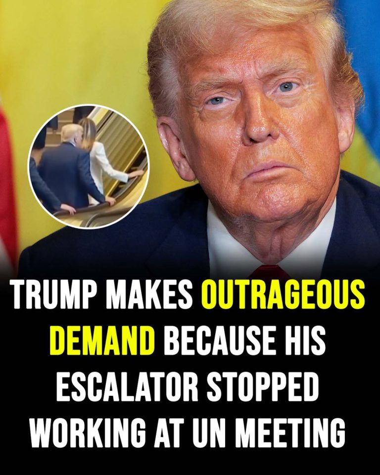 Donald Trump calls for investigation over