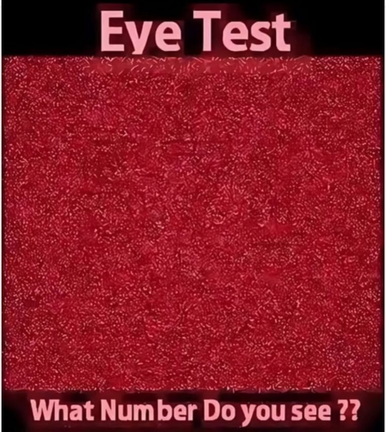 Challenge Your Eyes: Can You Find the Hidde