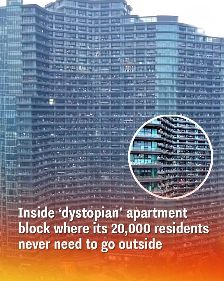 How 20,000 People Live Together in a Building