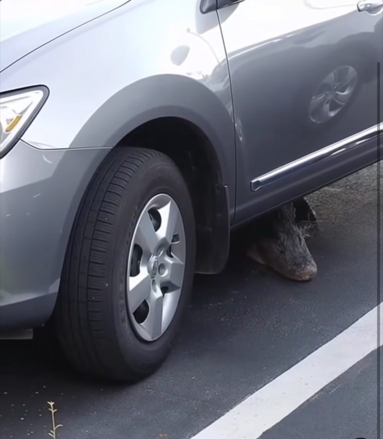 The Surprising Lesson I Learned From Wha