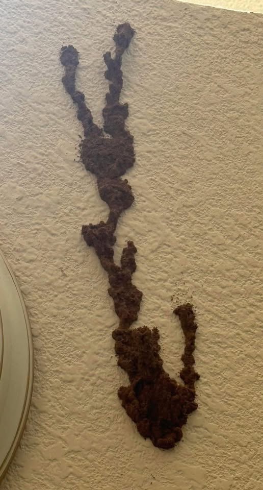 This Harmless-Looking Wall Conceals Tho