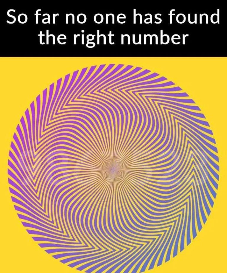 Can You Spot the Hidden