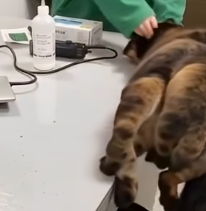 Alone and Afraid: The Moment They Foun