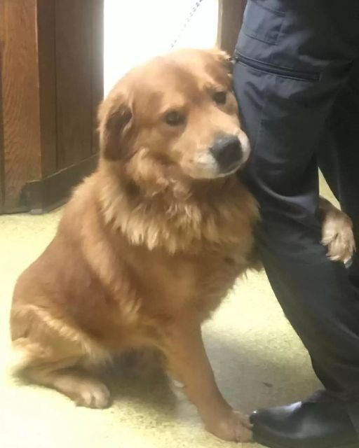 HE WOULDN’T LET GO OF MY LEG—A