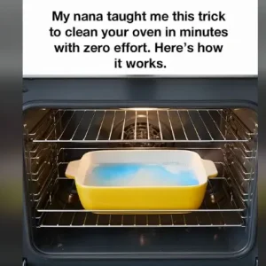 Nana’s Simple Trick to Sparkling Ove