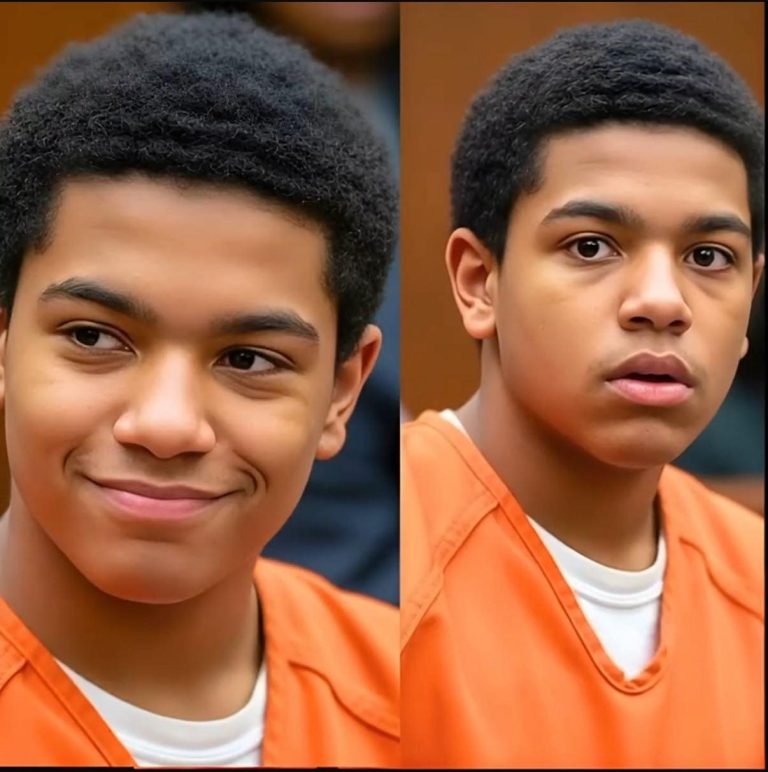 15earOld Boy Mocked the Court After Shop