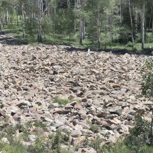 Can You Spot the Hidden Woman in This O