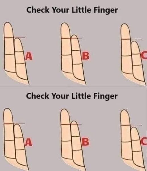 Your little finger reveals beautiful thin