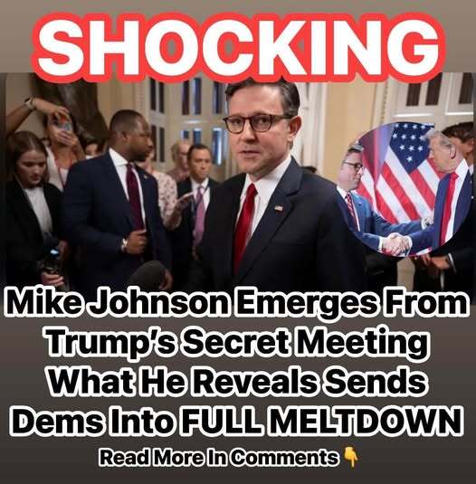 Mike Johnson Emerges From Trump’s Secreet M