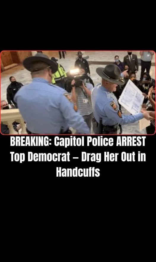 Georgia Democratic Official Arreste