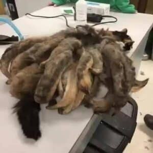 Alone and Afraid: The Moment T