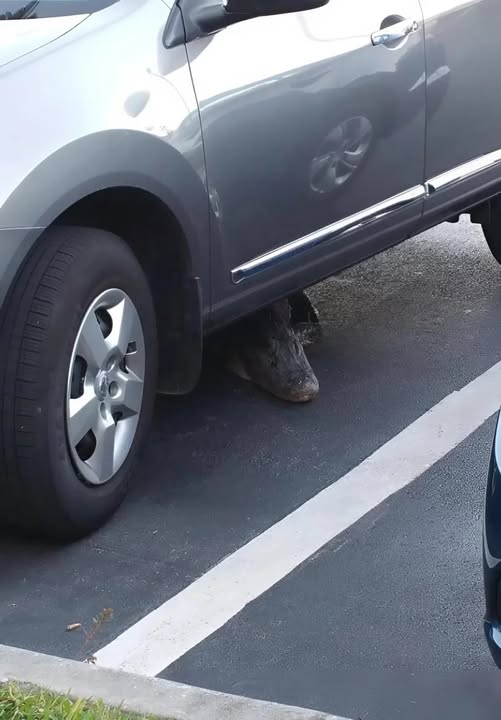 The Surprising Lesson I Learned From What